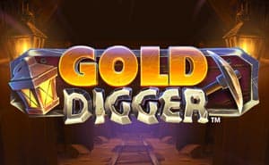 gold digger casino game